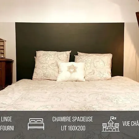 Lejlighed Grand Place Saint-pierre, Proche Chateau De Et Bord De Loire