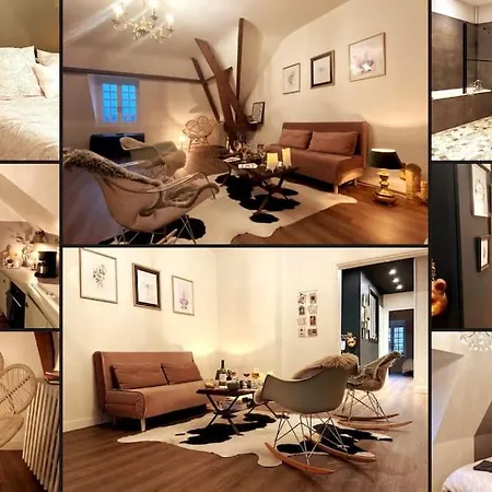 Lejlighed Grand Place Saint-pierre, Proche Chateau De Et Bord De Loire